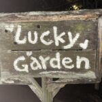 ラッキーガーデン。ヤンがお世話になっていました。生駒山のスリランカカレーのレストランです。自然と風景が綺麗で、美味しいカレーを楽しめます。